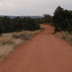 Road To Somewhere